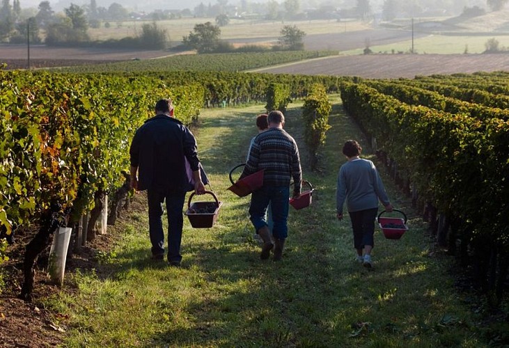 Vignerons de Sigoulès Vendangeurs
