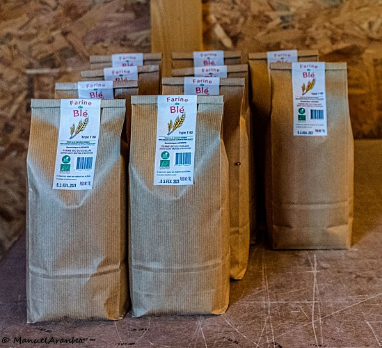 ferme-bio-du-duellas-farine-aranha