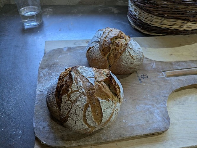 Ferme Bio-Duellas-St Martial-d-Artenset-pain-vallee-isle-perigord