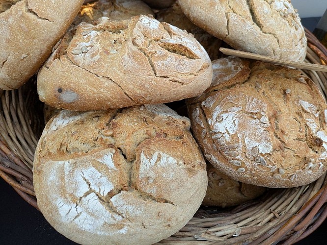 ferme-bio-duellas-pain-a-vallee-isle-perigord