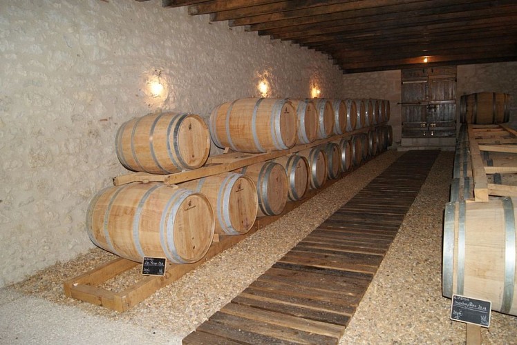 DOMAINE DE MONTLONG (5)