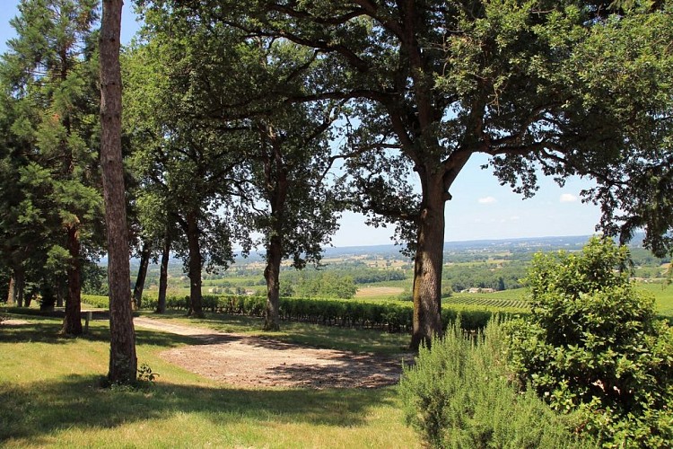 Autour de Monbazillac-Domaine de Montlong (19)_2_espace camping-car