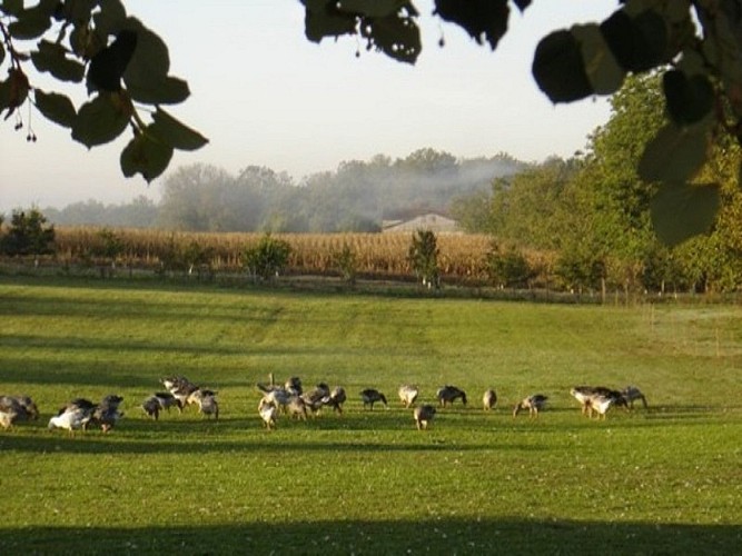 Ferme-Andrevias-ischlqs-ok