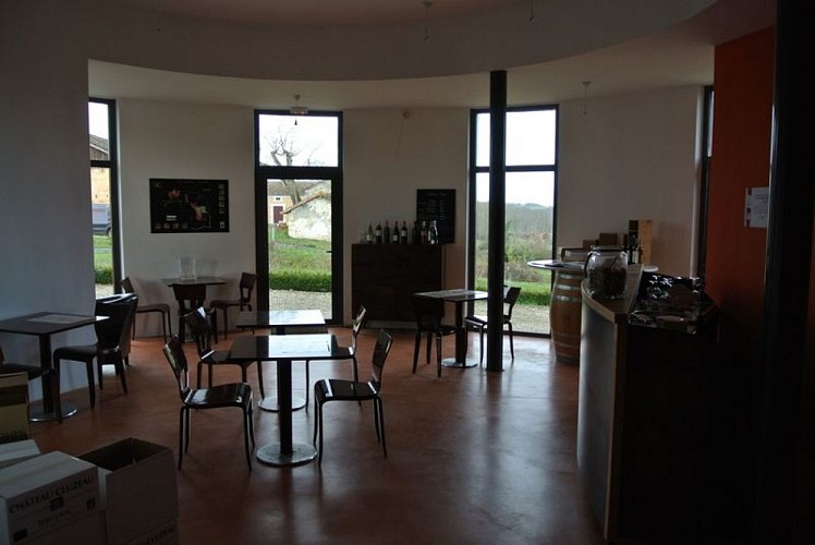 Château Cluzeau (3)