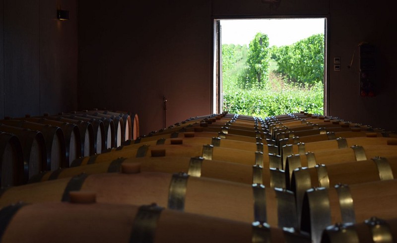 autour_monbazillac-chateau_cluzeau (1)-2