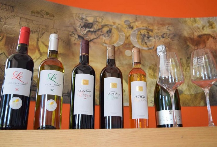 autour_monbazillac-chateau_cluzeau (26)-2