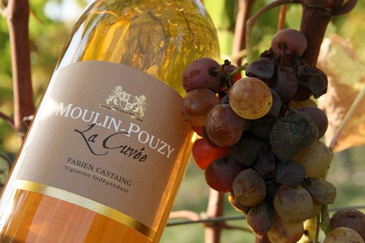 Domaine de Moulin-Pouzy - bouteille