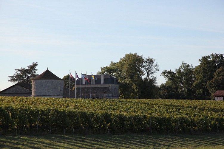 chateau-montdoyen (1)