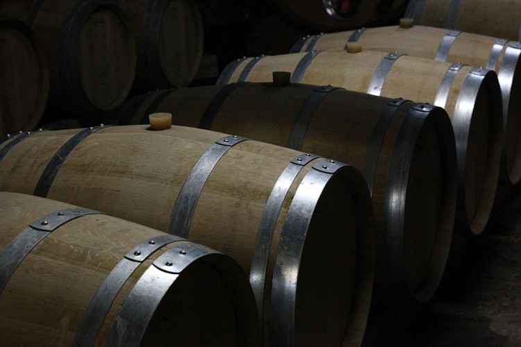 chateau-montdoyen (3)