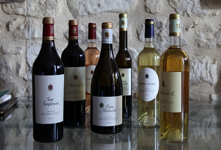 chateau-montdoyen (4)