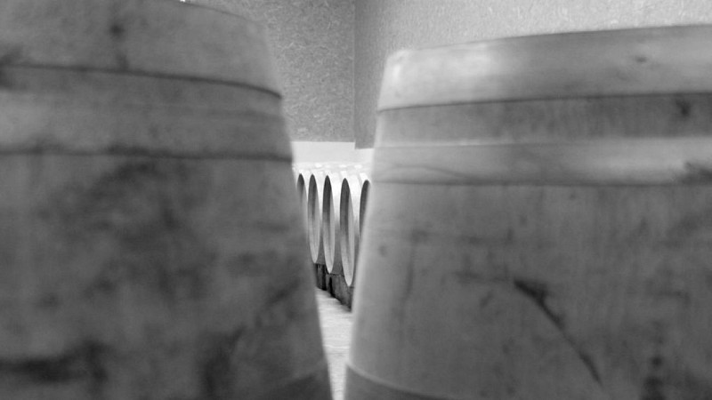 Autour de Monbazillac_Château Montdoyen (61)_2