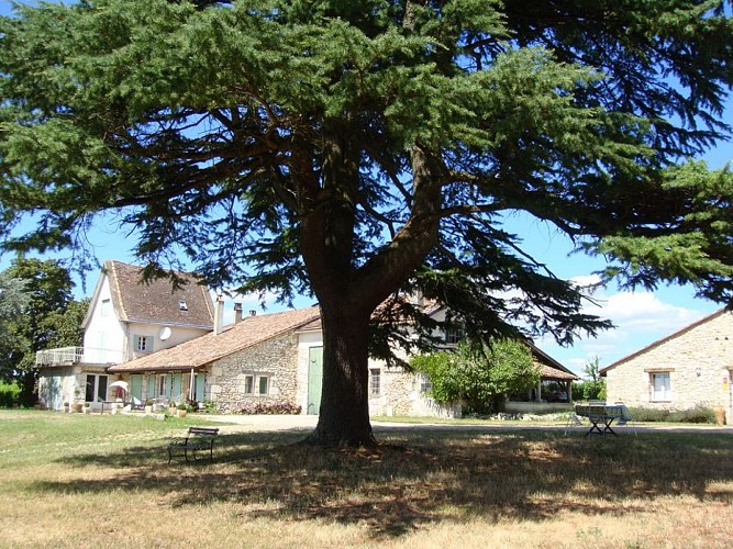 Les Hauts de Caillevel 3