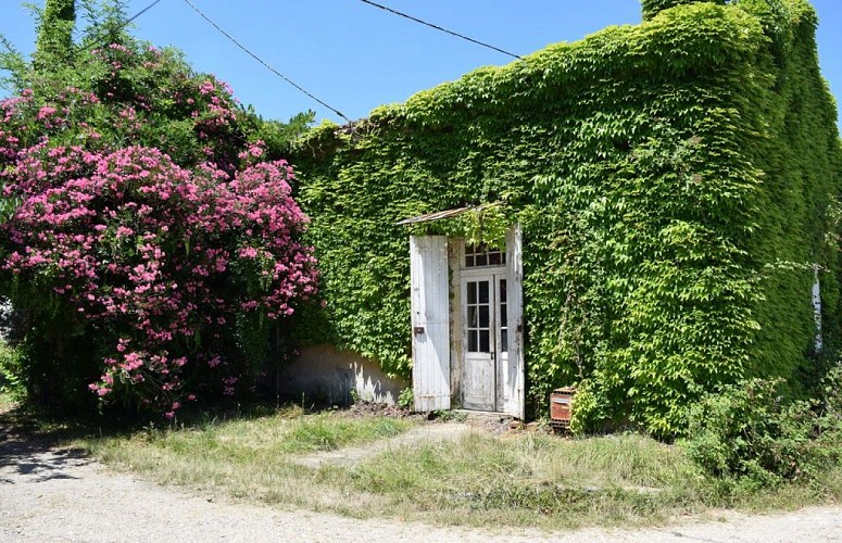 autour_velines-chateau_du_bloy (39)-2