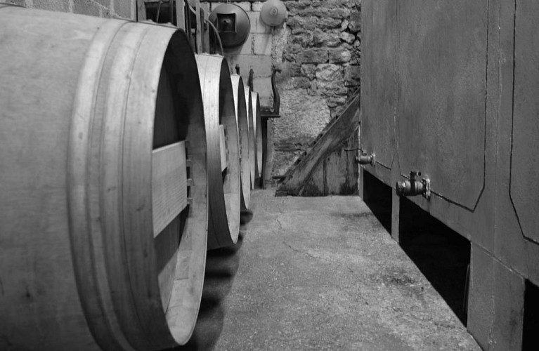 autour_saussignac-chateau_le_castellat (32)-2