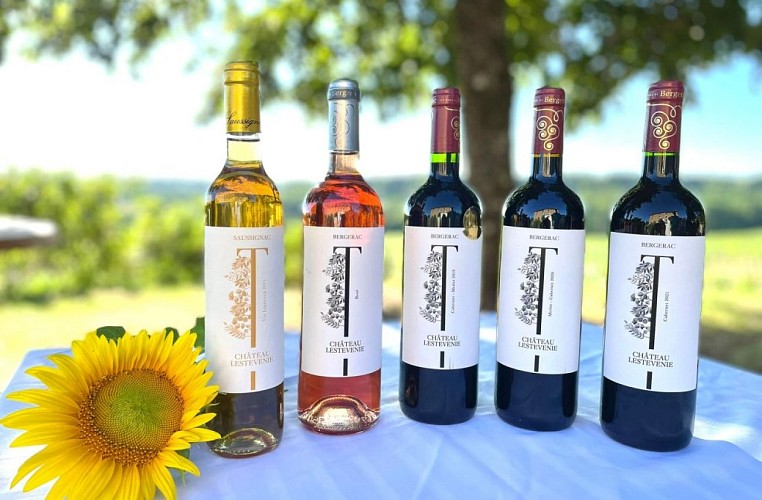Château Lestevenie_vins
