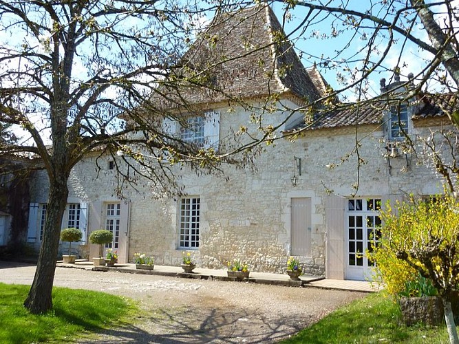 chateau-caillavel (2)