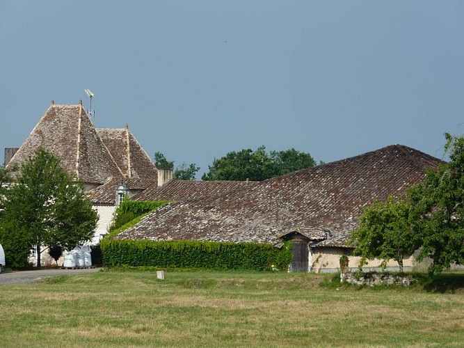 chateau-caillavel (3)