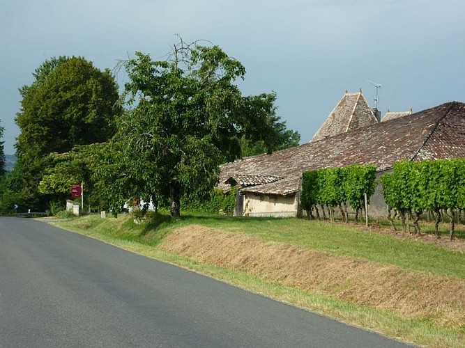 chateau-caillavel (4)