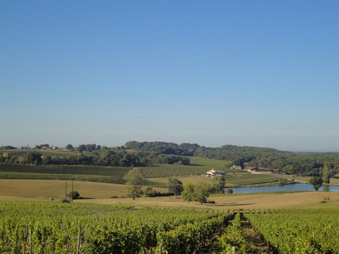 Vallée - Château Pique-Sègue