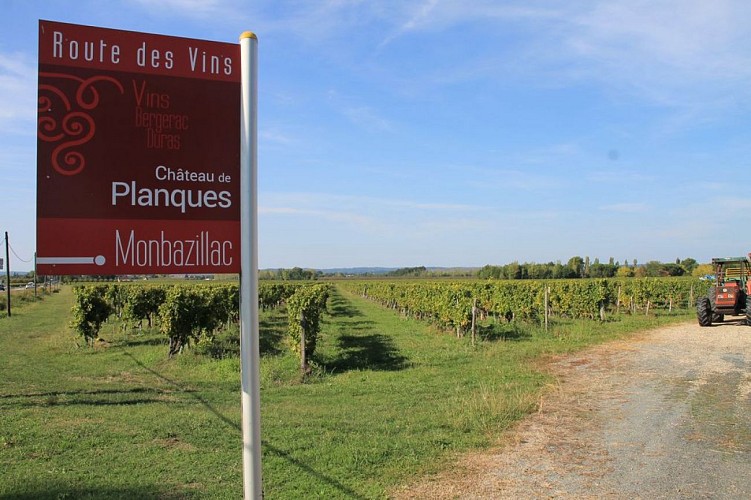 Autour de Monbazillac_Château de Planques (13)