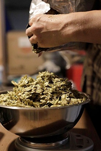 la-plume-et-l-epi_matthieu-prouillac-biere-artisanale_virginie-roussel-photographies_465-1