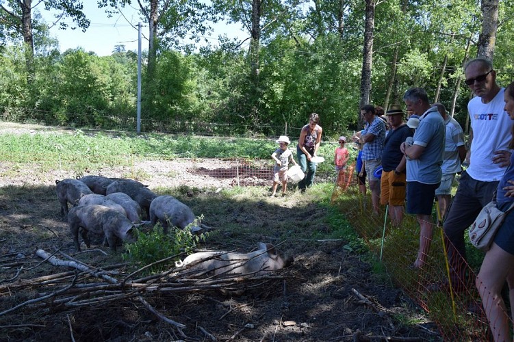 Gaec-des-charmes-St-Aquilin-visite