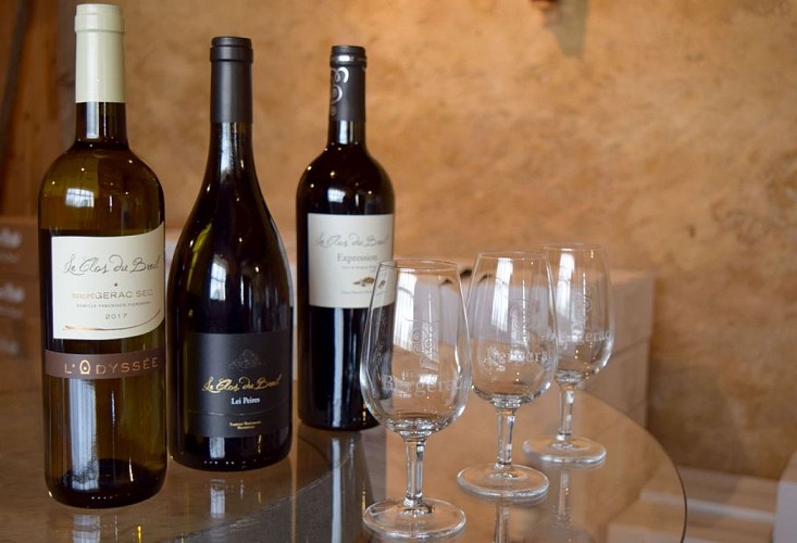 autour_issigeac-le_clos_du_breil (21)-2