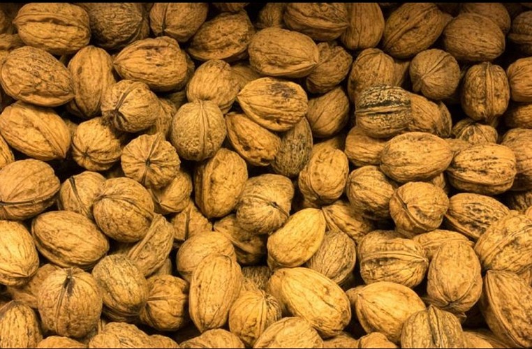 Escale à la ferme - Boutique de producteurs