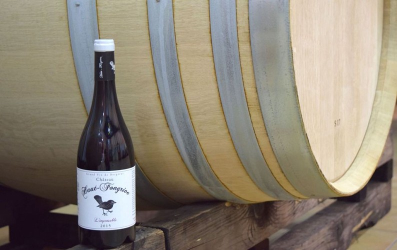 autour-saussignac-chateau-haut-fongrive (48)-2