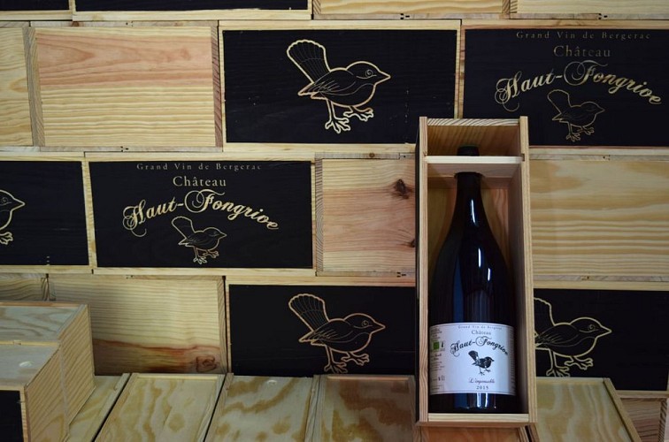 autour-saussignac-chateau-haut-fongrive (20)-2