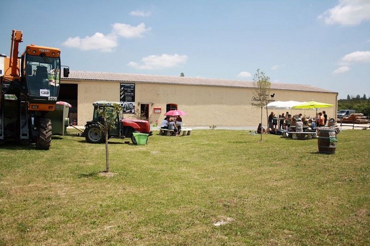 chateau-haut-fongrive-thenac (8)