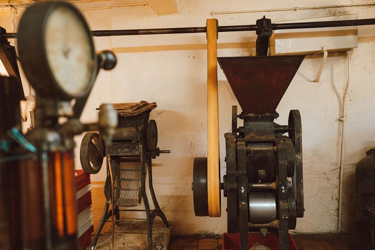 Les Noyeraies du landers-81