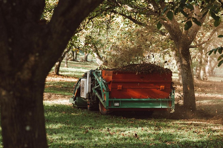 Les Noyeraies du landers-108