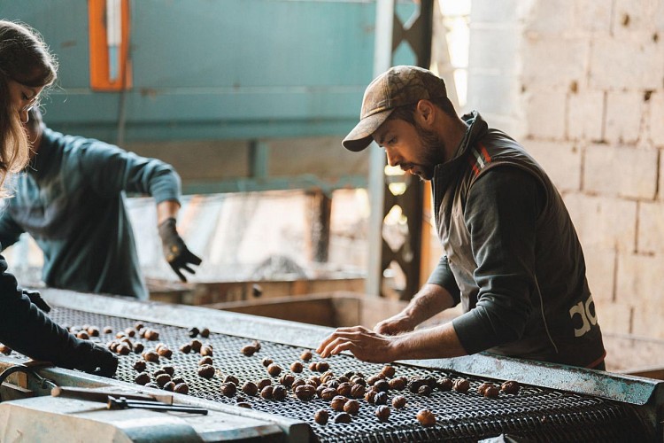 Les Noyeraies du landers-163