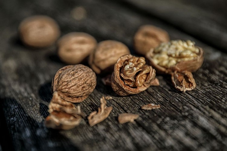 616c3bdb5f32e8b5cde25507_47-noix