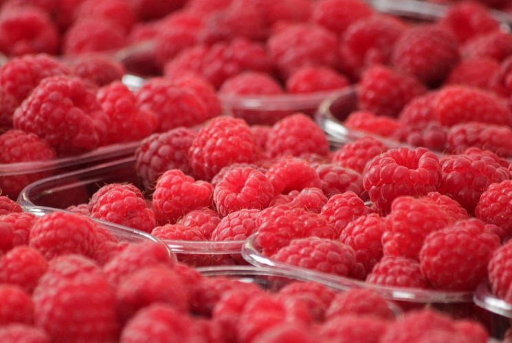 raspberries-378259_1280