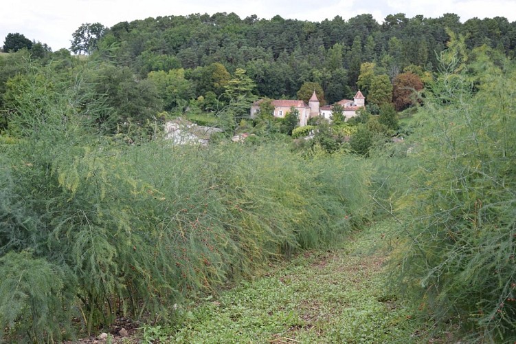 la-ferme-de-marcel-st-aquilin (12)