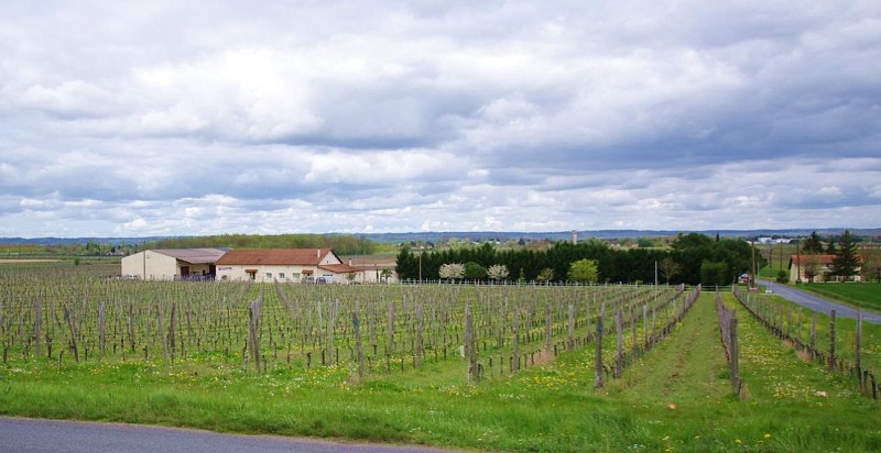 autour_saussignac-vignobles_gazziola (68)-2