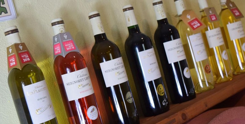 autour_saussignac-vignobles_gazziola (50)-2