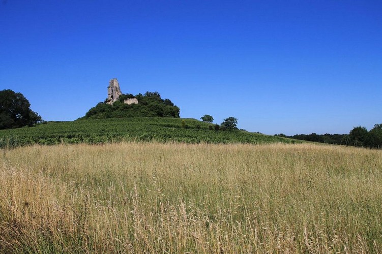 Autour de Vélines_Château de Gurson (13)_2