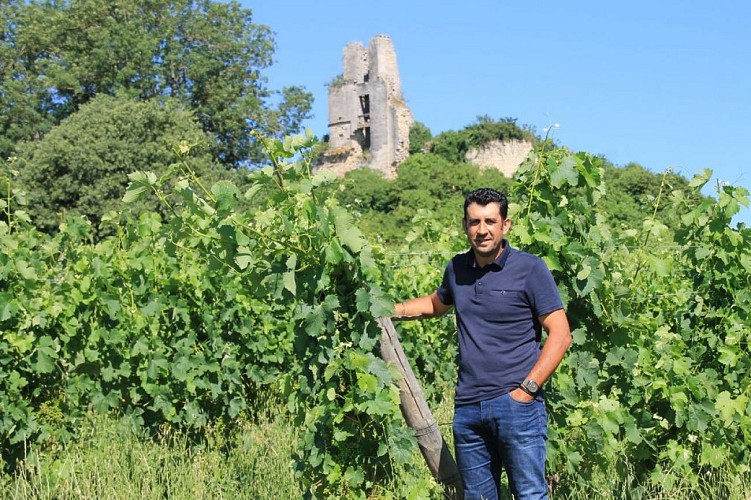 Autour de Vélines_Château de Gurson (8)