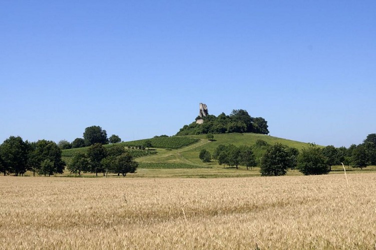 Autour de Vélines_Château de Gurson (5)_2