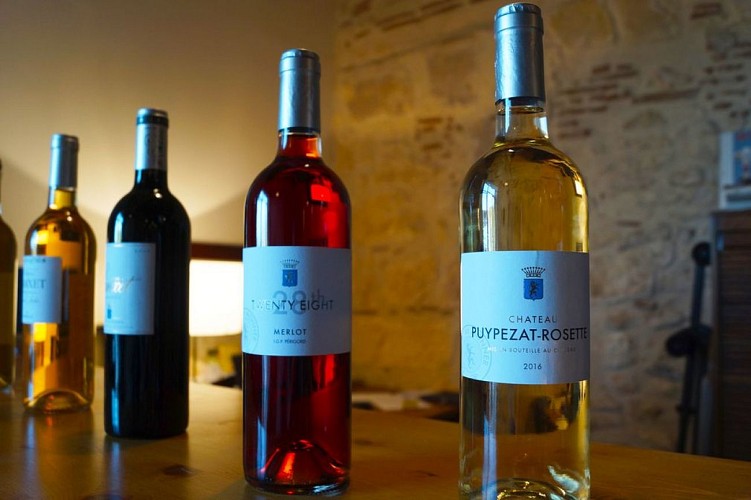 PUYPEZAT ROSETTE © MC GRASSEAU OTBSD (82)