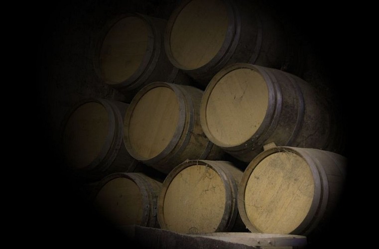 Autour de Vélines_ Domaine de Jolis Bois (48)_2