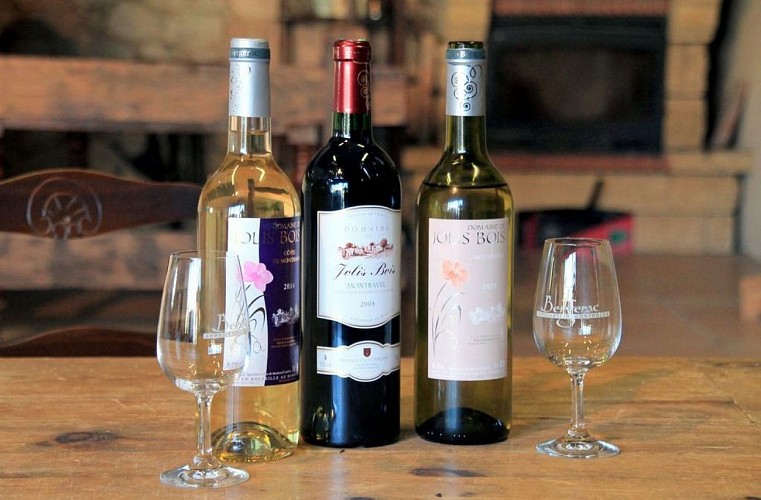 Autour de Vélines_ Domaine de Jolis Bois (75)._2