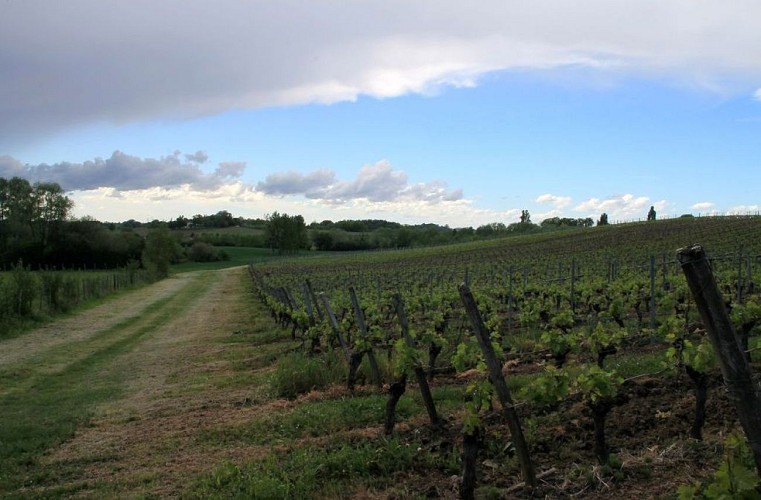 Autour de Vélines_ Domaine de Jolis Bois (2)_2