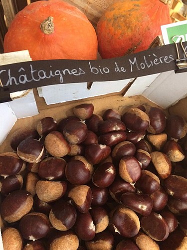 43029189-250950085611234-3524079507419955200-n