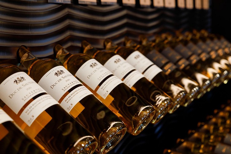 Maison du Sauternes - SAUTERNES - Sud-Gironde 6