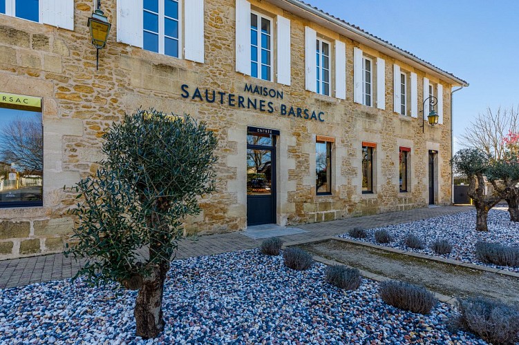 Maison du Sauternes - SAUTERNES - Sud-Gironde 1