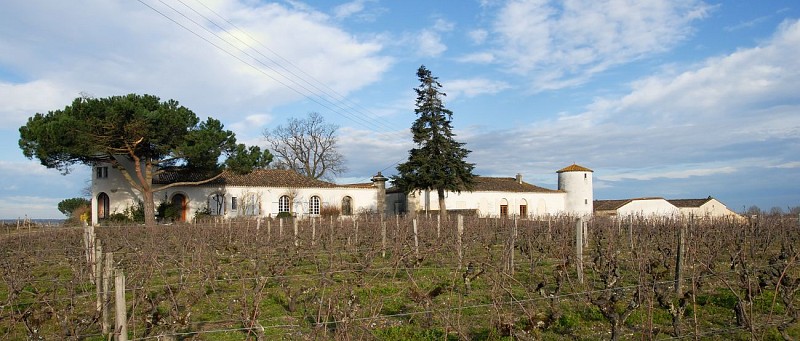 Château Lamothe Despujols - SAUTERNES - Sud-Gironde